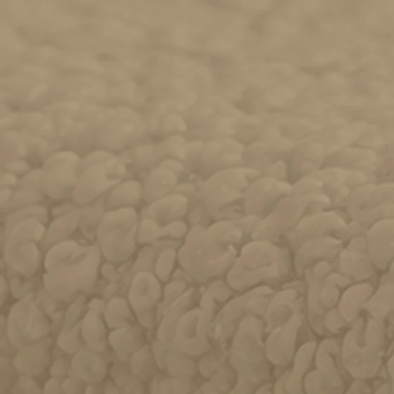 Boucle upholstery for a bench