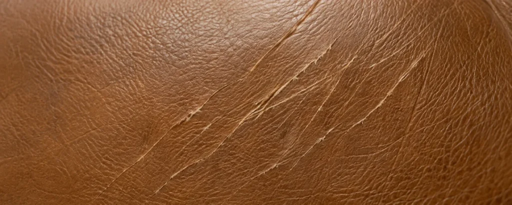 Fine claw lines from cat claws on leather