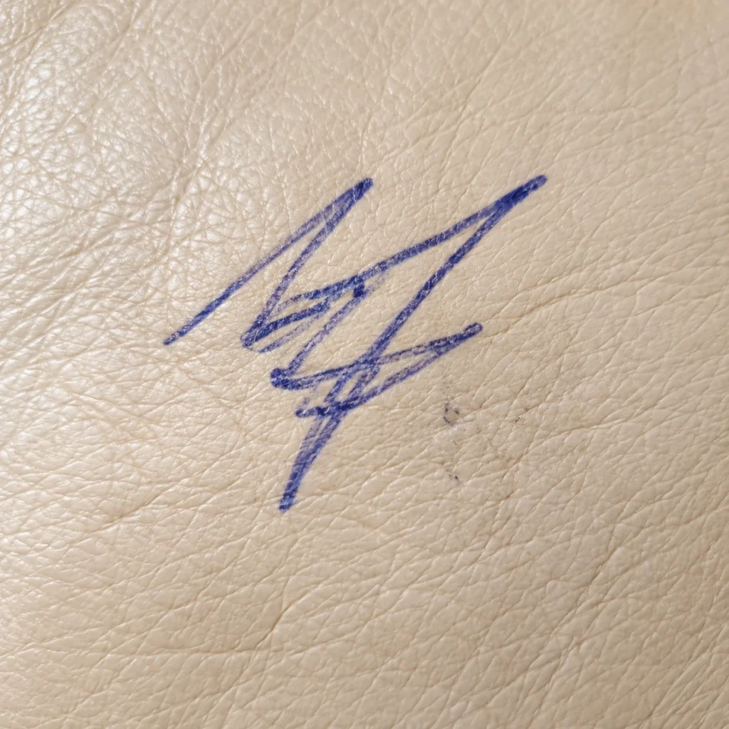 Ink on leather