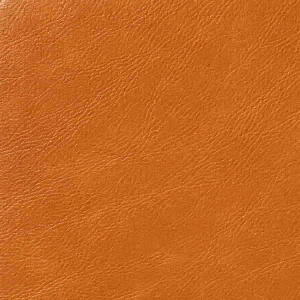 Camel leather color swatch