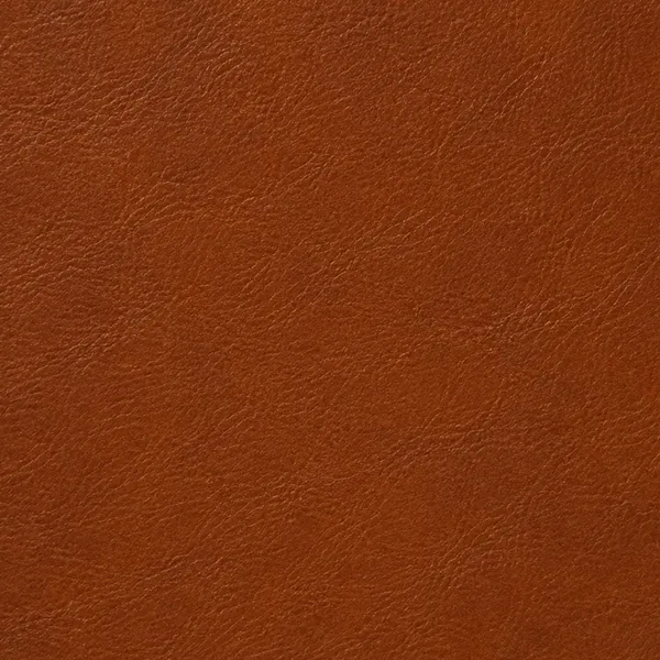 Cognac leather color swatch
