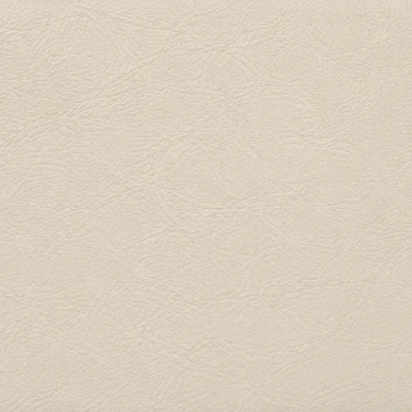 Cream leather color swatch