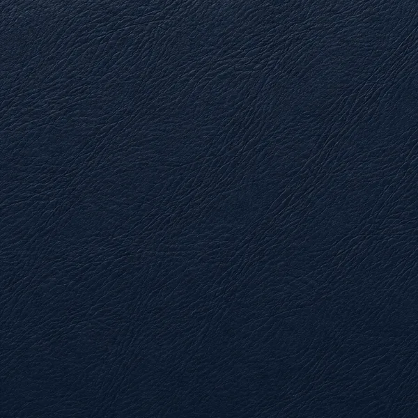 Navy leather color swatch
