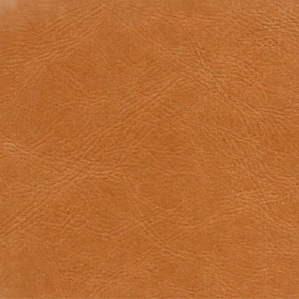 Tan leather color swatch